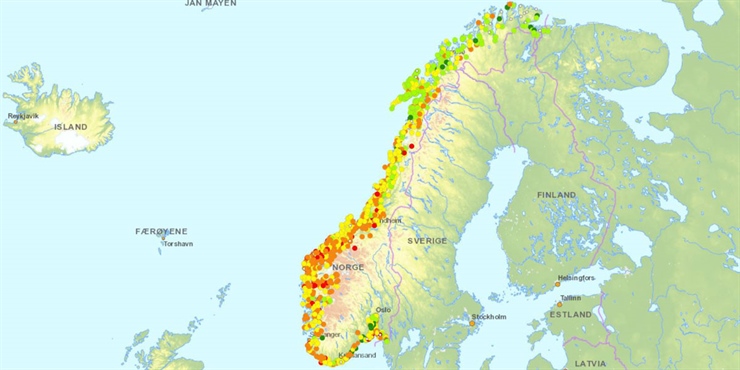 Slik står det til i din sjøørretelv